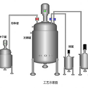 菌種培養(yǎng)罐