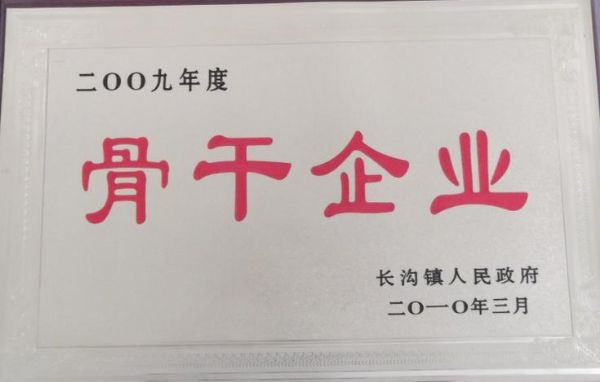 2009年度長溝鎮人民政府骨干企業